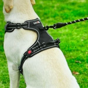 Pink and black harness size Medium